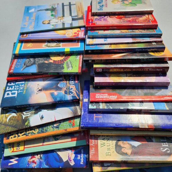 4 Book Bundle Lot Set Chapter Books Young Adult Literature Novels Mystery Books - Picture 12 of 16